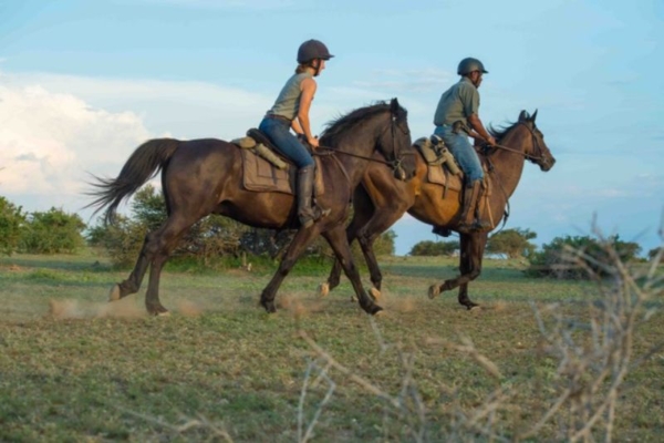 Horse riding in the Mashatu Tuli Botswana