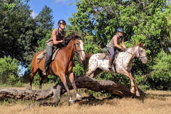 African Horse Safaris - Tuli Horse Safari Botswana (40) Horse riding in the Mashatu Tuli Botswana