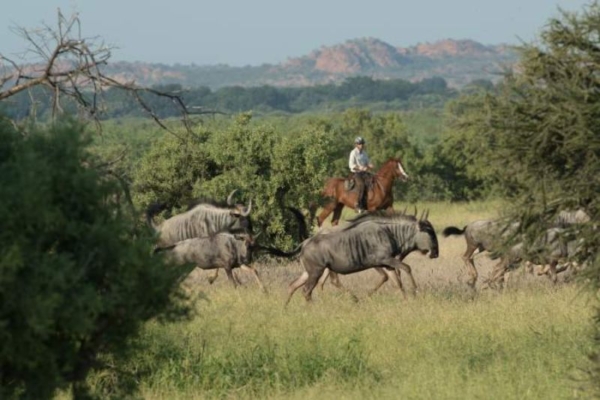 Horse riding in the Mashatu Tuli Botswana