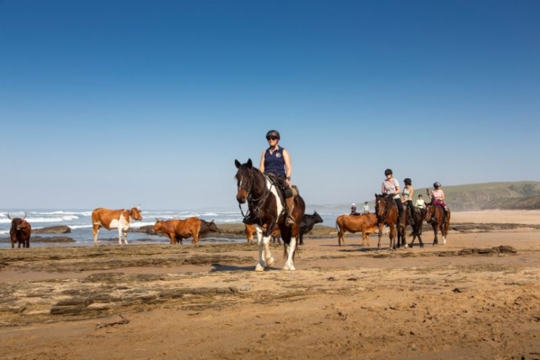 African Horse Safaris - Wild Coast Trail South Africa (3) Horse riding on the Wild Coast of South Africa