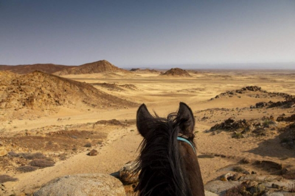 Namib Desert through the horses ears