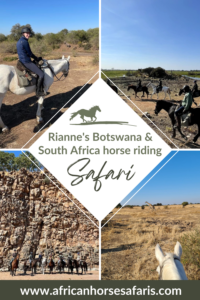 South African and Botswana horse safari riding collage