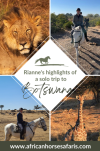 Collage of highlights from a Botswana horse safari