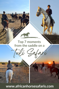 Collage of girl riding white horse in Tuli with others