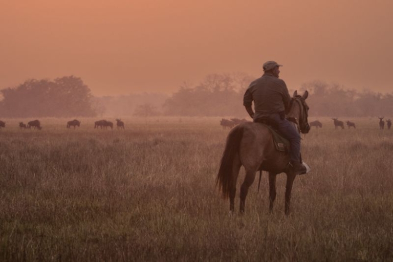 Horse riding in the Simalaha Conservancy, Zambia