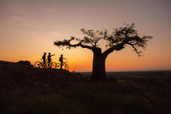 Cylists and Baobabs