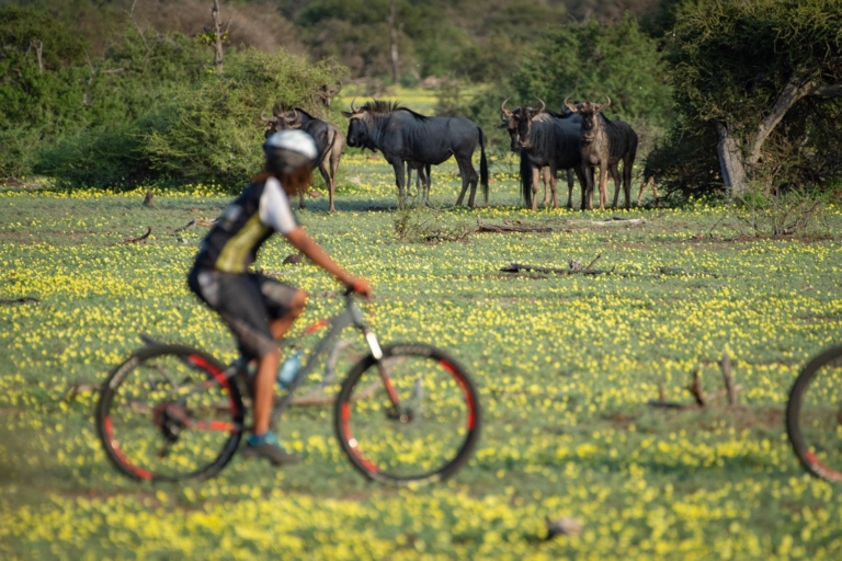 Cycle by Wildebeest on Botswana safari