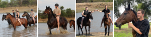 Photo collage of a horse riding holiday in Africa