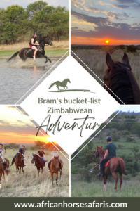A photo collage of a bucket-list Zimbabwe horse adventure