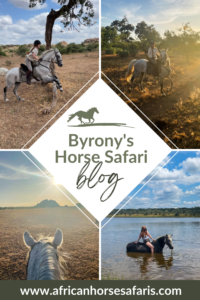 A photo collage of an epic horse safari