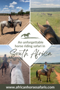 A photo collage of an unforgettable riding holiday in South Africa