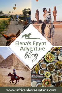Elena's Egypt adventure photo collage