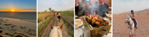 Collage of egyptian horse riding experience