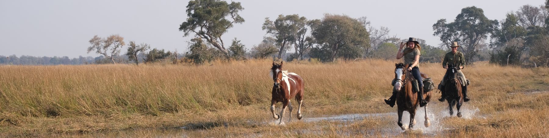 Nathan’s Solo Botswana Horse Safari – An adventure for the books