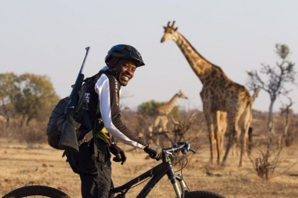 Cycling in the Tuli with giraffe