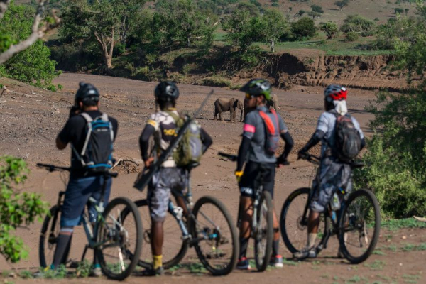 Cycling in the Tuli with elephant