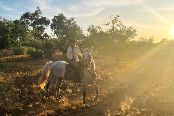 A girl on a grey horse at sunset