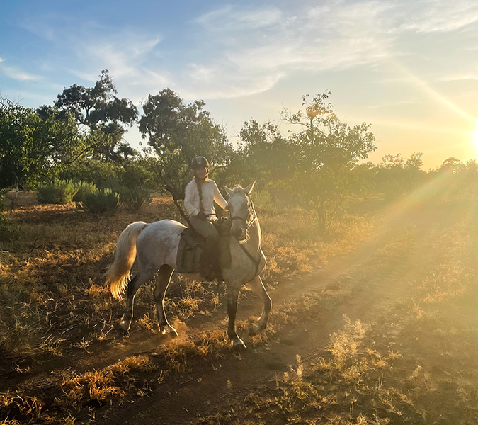 A girl on a grey horse at sunset