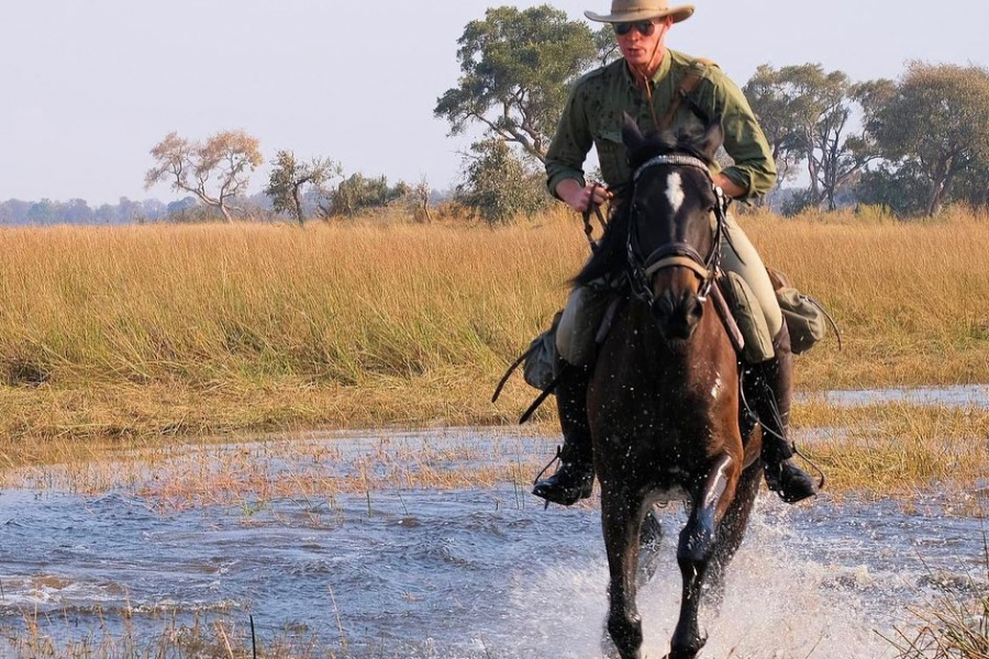Gallop through the rivers of Botswana