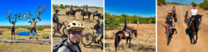 Ride and Cycle Safari Botswana