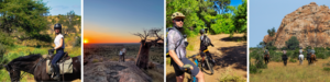 A ride and cycle safari in Botswana