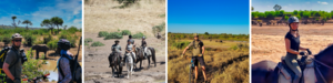 Beautiful scenes from a Botswana horse and bike safari