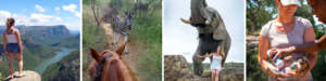 An unforgettable South African horse safari 