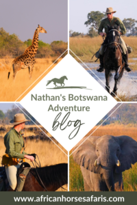 A Botswana horse adventure