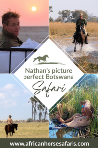 A photo collage of a bucket-list Botswana horse adventure