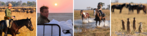 A picture-perfect African horse safari