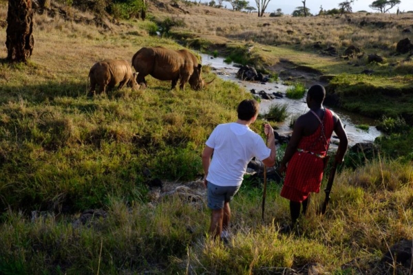 Lewa Wilderness (2) Walking with Rhinos in Lewa