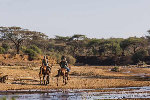 Kenya horse safari ride