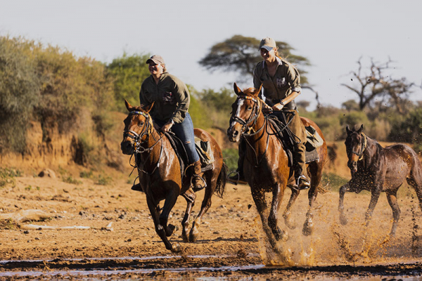 A gallop through the bush in Kenya