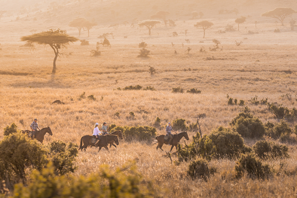 A group of riders on a safari in Kenya