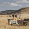 A beautiful horseback safari picnic lunch