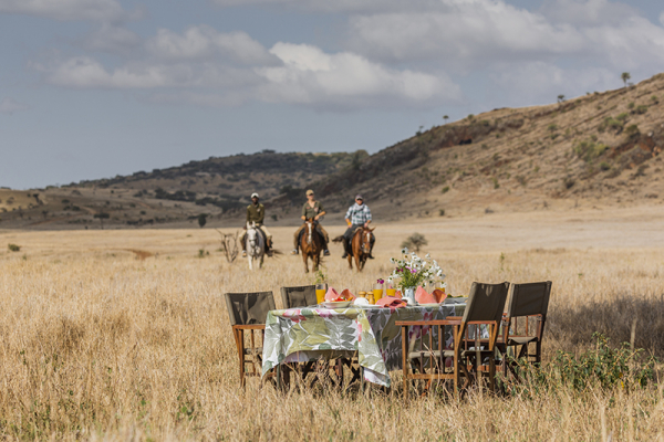A beautiful horseback safari picnic lunch