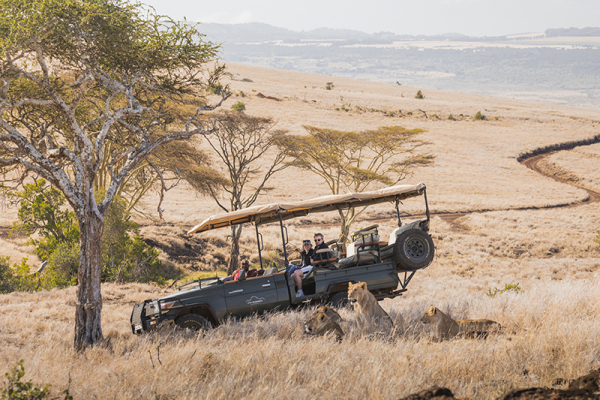 Lion safari encounter in Kenya