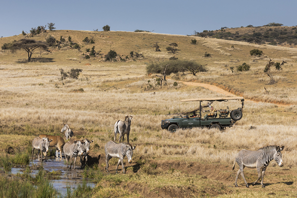 Zebra safari encounter in Kenya
