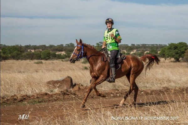 Endurance Horse Rider
