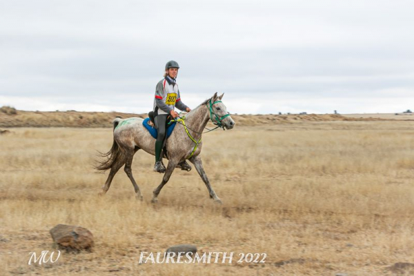 Endurance horse rider