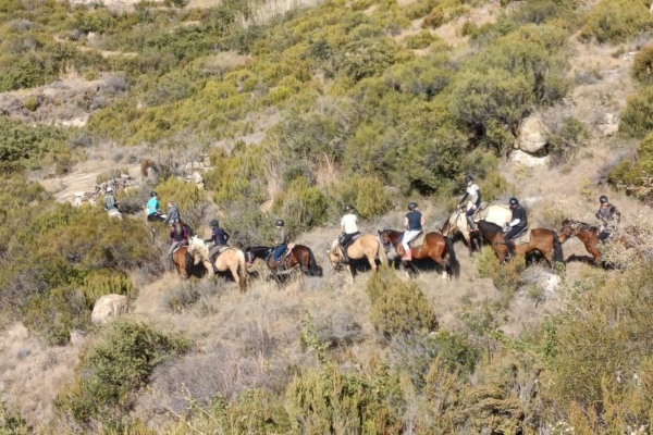 Horse riding at Moolmanshoek South Africa