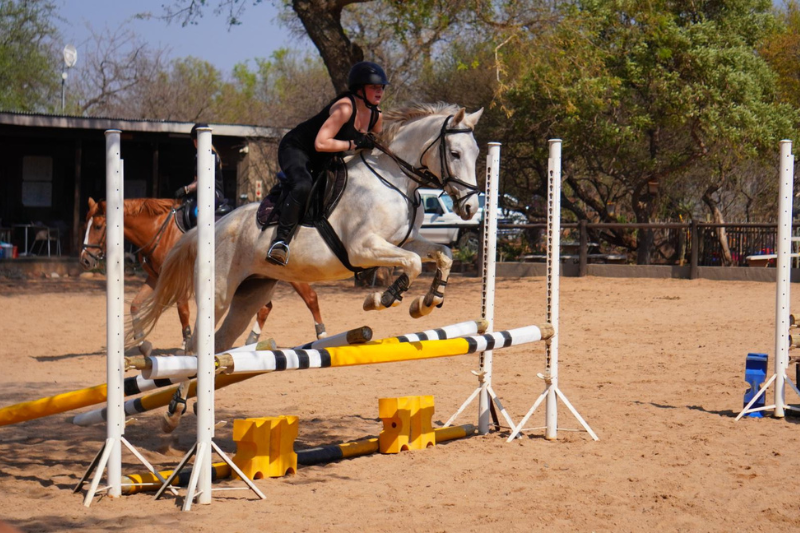 Horse Jumping in South Africa