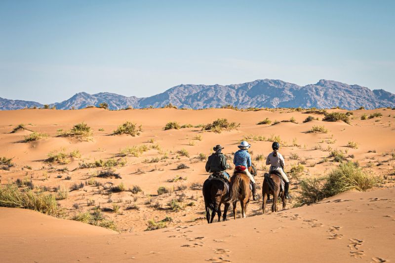 Horse riding in the Namib Desert