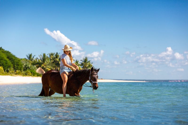 Horse Riding in Mozambique