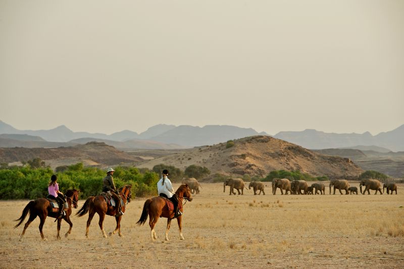 Elephants from horseback in Namibia