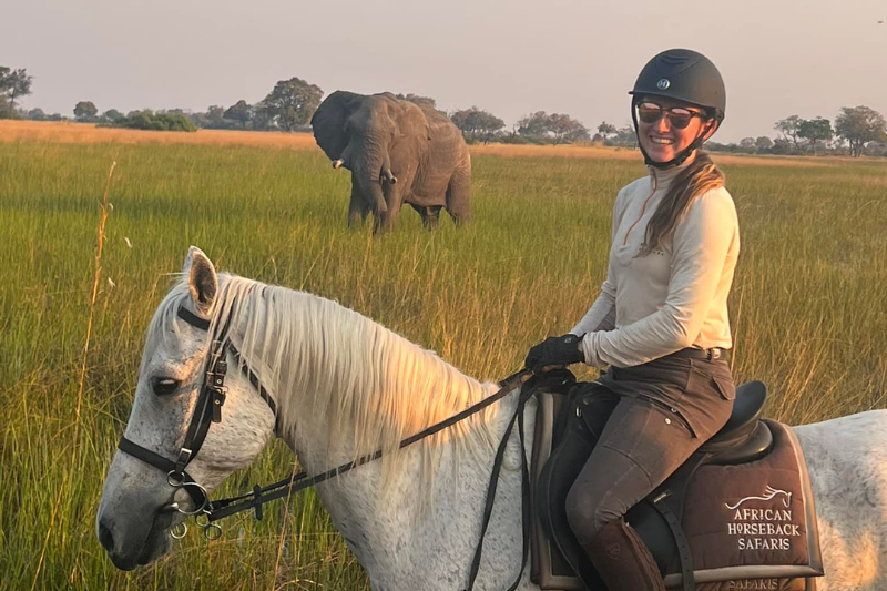 Horse safari with elephants in the Okavango Delta