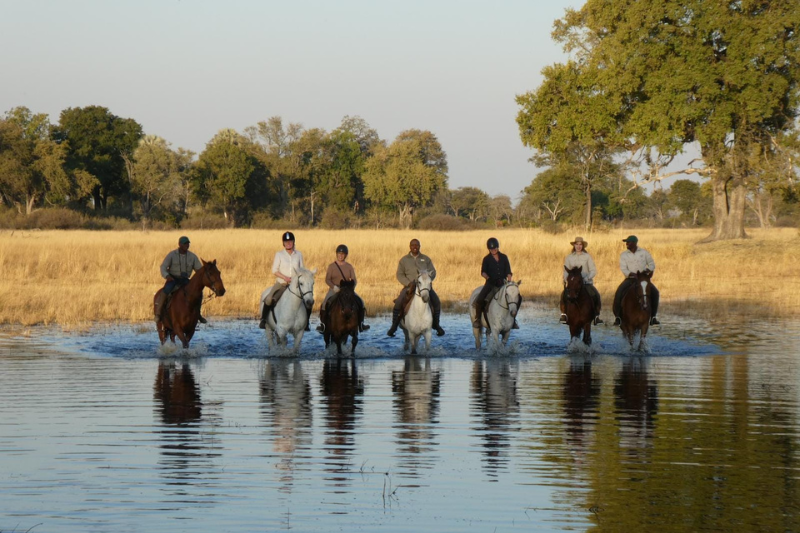 Horse Safari Okavango Delta