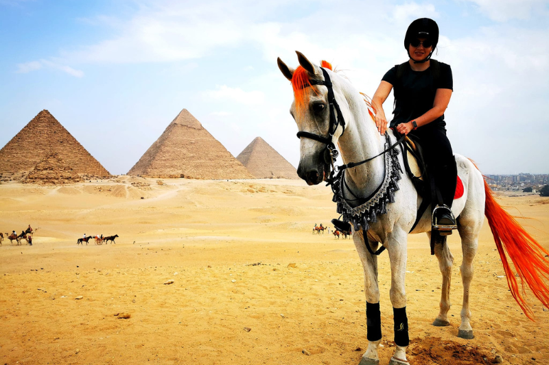 Horse riding in Egypt