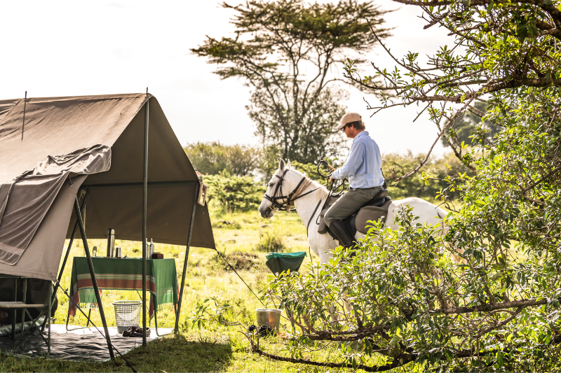 Horse safari and tent in the Masai Mara