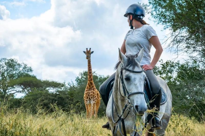 Horse riding with giraffe at African Dream
